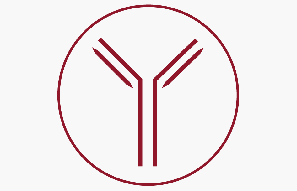 Pictogramme d'un anticorps en forme de Y, dans un cercle bordeaux.