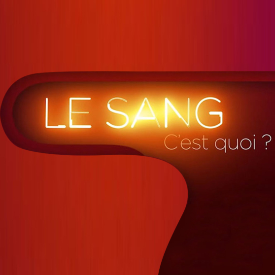 Titre stylisé « Le sang, c'est quoi ? » en effet lumineux façon néon sur fond dégradé rouge et orange.