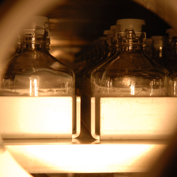 Bouteilles en verre avec liquide et mousse dans un support, ambiance laboratoire.