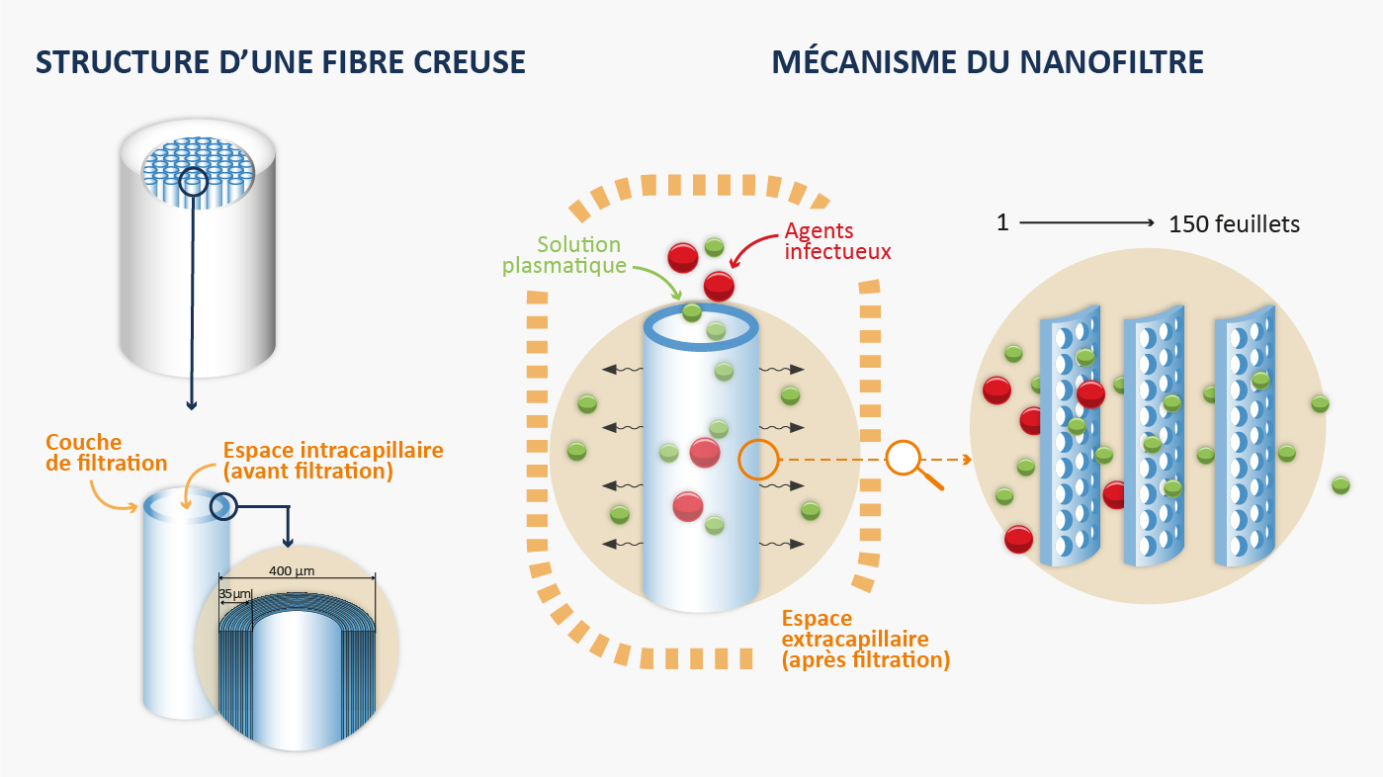 Schéma en deux parties expliquant la nanofiltration. À gauche, « Structure d'une fibre creuse » : une fibre cylindrique en coupe montre une couche de filtration entourant un espace intracapillaire avant filtration, avec un diamètre de 400 micromètres et une épaisseur de couche de 35 micromètres. À droite, « Mécanisme du nanofiltre » : une solution plasmatique contenant des composants utiles (points verts) et des agents infectieux (points rouges) traverse la fibre depuis l'espace intracapillaire vers l'espace extracapillaire après filtration ; un agrandissement montre la structure du nanofiltre composée de 1 à 150 feuillets qui retiennent les agents infectieux tout en laissant passer les composants plasmatiques.